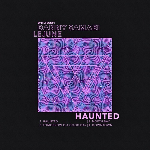 Lejune, Danny Samaei - Haunted [WHLTD221]